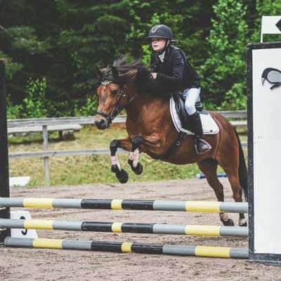 Stiernhööks Lycka 6088