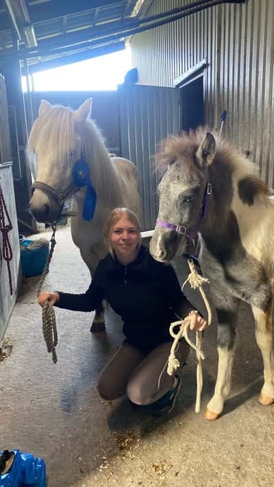 Post 458 of Show jumping