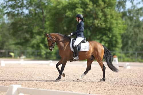 Bild av FEI ponny med Power 💥