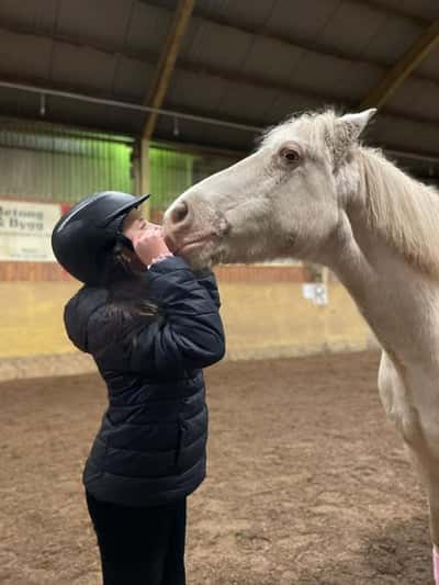 Inlägg 55 av Allround med titeln STALLET ❤🥰