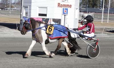 Inlägg 118 av Ponnytrav med titeln Ponnytrav