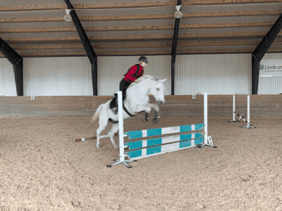 Inlägg 111 av Allround