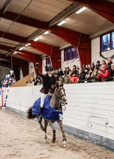 Inlägg 23 av Svensk Ridponny med titeln Ungponny sm guld 2024❤️🥹