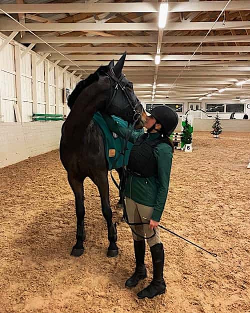 Bild av Snäll häst som söker medryttare/delfodervärd