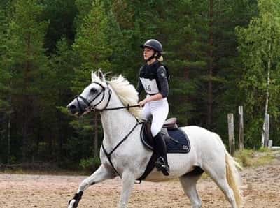 Inlägg 6 av Fälttävlan med titeln Sugar Cup Riksfinal