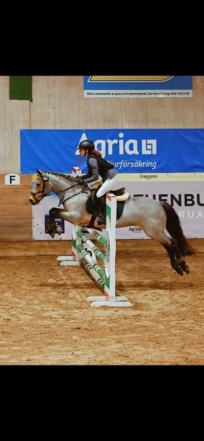 Inlägg 70 av Allround