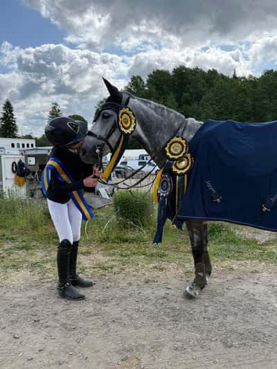 Inlägg 5 av Svensk Ridponny med titeln Midsommarcupen🌸