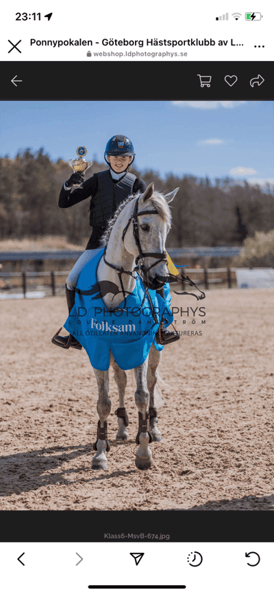 Post 332 of Show jumping with title Mohulla Playboy 