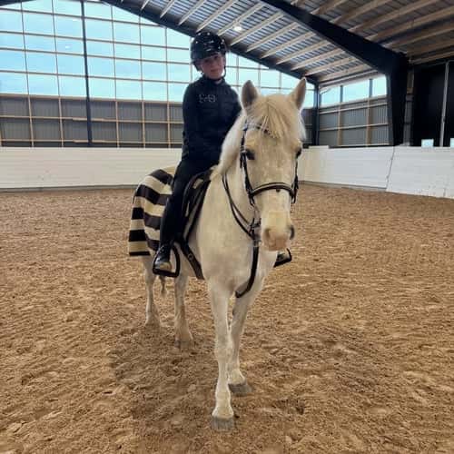 Bild av Superkul ponny för dig som vill ut på tävlingsbanan