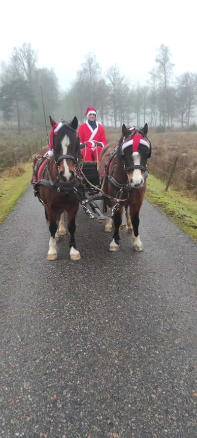 Inlägg 21 av Sportkörning med titeln På viktigt uppdrag 