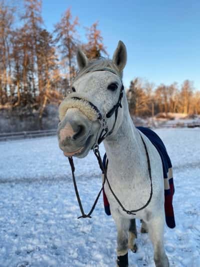 Inlägg 6 av Allround