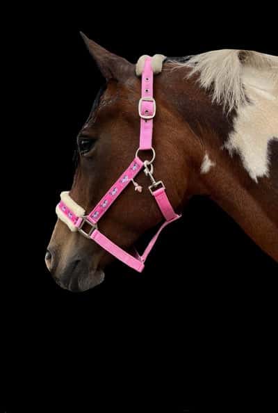 Inlägg 162 av Allround