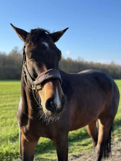 Inlägg 47 av Allround