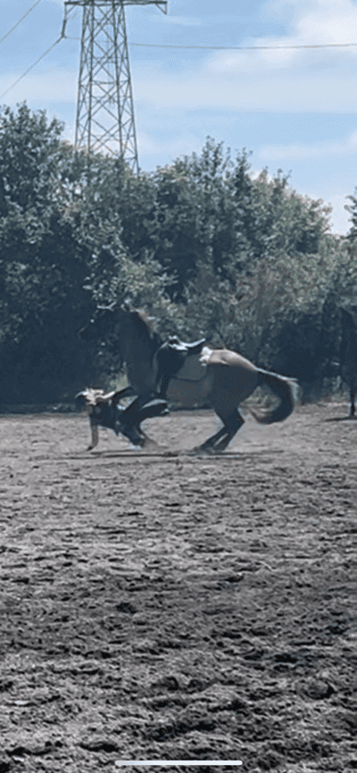 Inlägg 1 av Kigermustang med titeln Ridläger