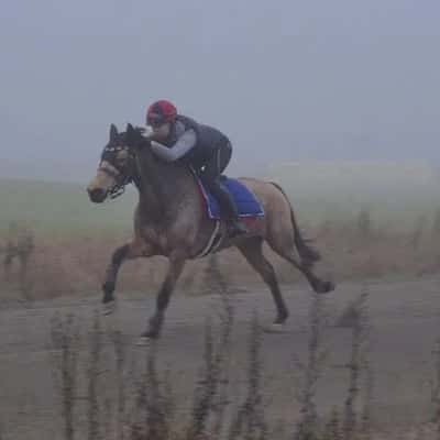 Inlägg 48 av Galopp med titeln Träning 