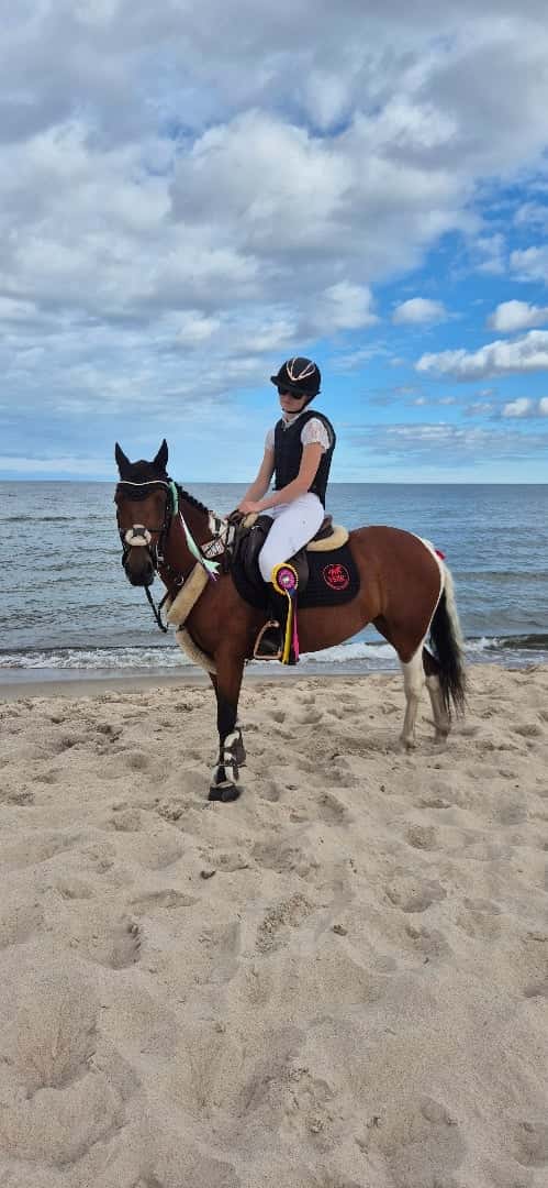 Bild av Hopp ponny med power