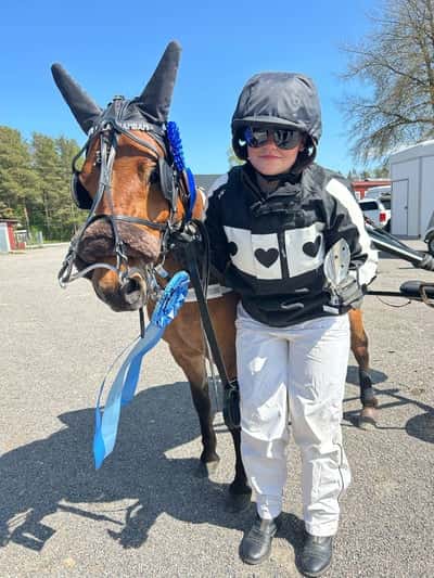 Post 24 of Gotland Pony with title Uppfödning 