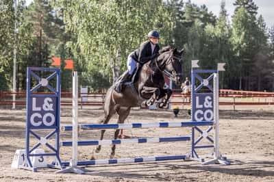 Inlägg 21 av Allround med titeln Loppan🤩🤩