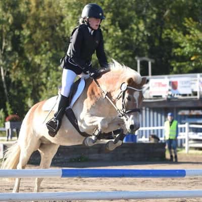 Inlägg 126 av Allround