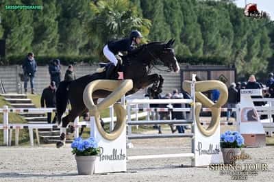 Post 13 of Show jumping with title Gorla Minore 🇮🇹