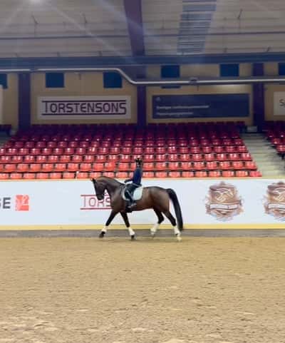 Inlägg 39 av Dressyr med titeln Förbundsträning på Flyinge 