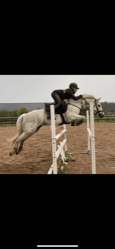 Inlägg 63 av Allround