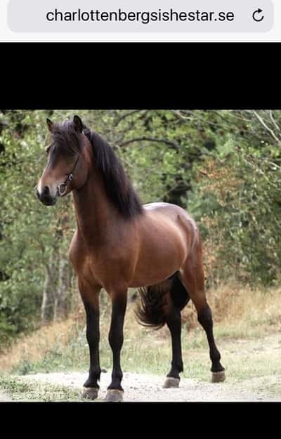 Léo Från Charlottenberg