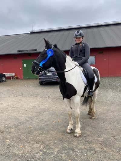 Post 97 of Show jumping with title Pallplats Klubbmästerskap 2022 