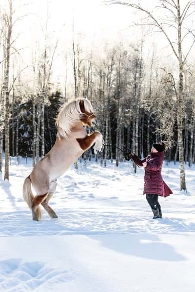 Inlägg 5 av Allround