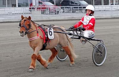 Inlägg 23 av Ponnytrav med titeln Första starten tillsammans❤️