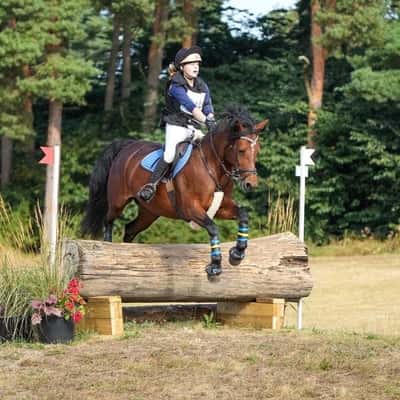 Inlägg 8 av Fälttävlan med titeln Vårt första mästerskap i fälttävlan 