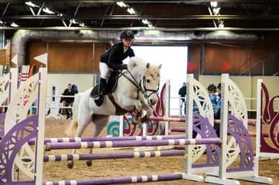 Inlägg 36 av Allround