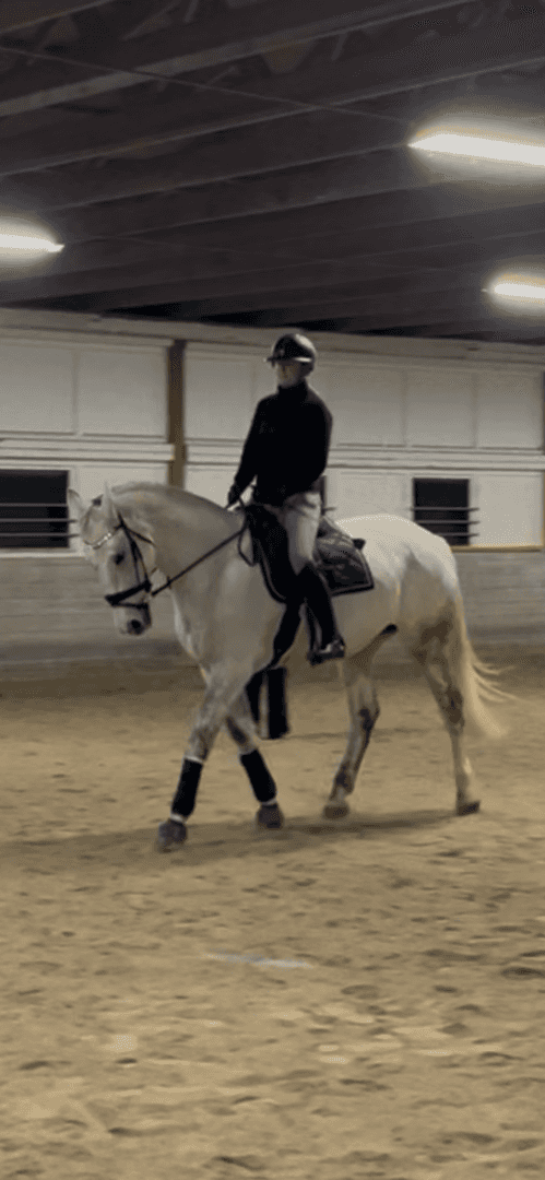 Bild av Medryttare sökes i Alvesta