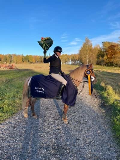 Post 453 of Show jumping