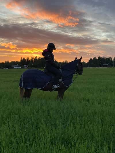 Inlägg 100 av Allround