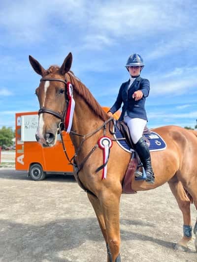 Post 324 of Show jumping with title Sundbyholm 