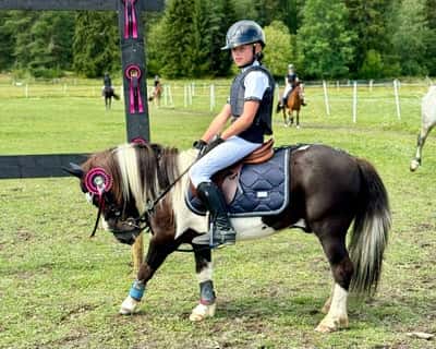 Post 92 of Show jumping with title Hopptävling 