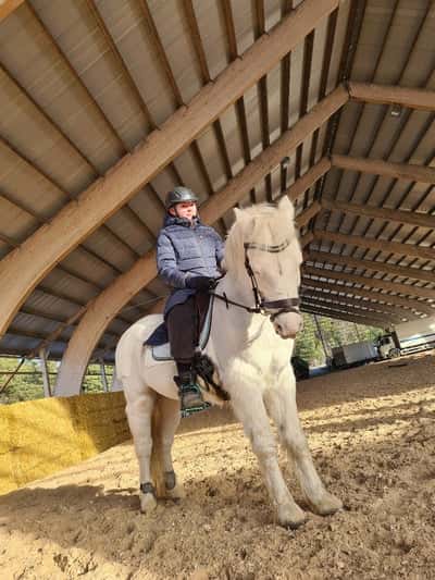 Inlägg 22 av Voltige