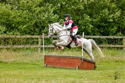 Image of 🌟Oslipad diamant för de högsta klasserna🌟