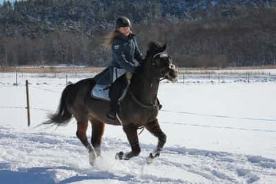 Inlägg 44 av Allround