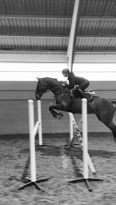 Inlägg 21 av Svensk Ridhäst med titeln Kär!❤️❤️❤️