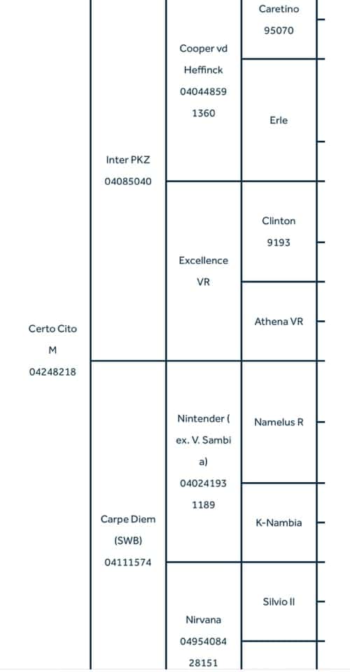 Bild av Snygg Åring 