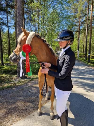 Inlägg 8 av Tysk Ridponny med titeln SM- Falun🫶🏼