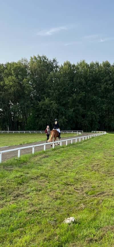 Inlägg 20 av Island