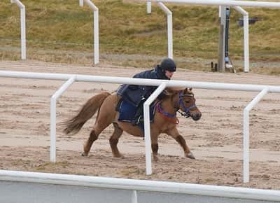 Inlägg 22 av Ponnygalopp med titeln Ponnygalopp 