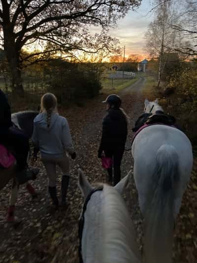 Inlägg 98 av Allround med titeln Rida med kompisar 😀