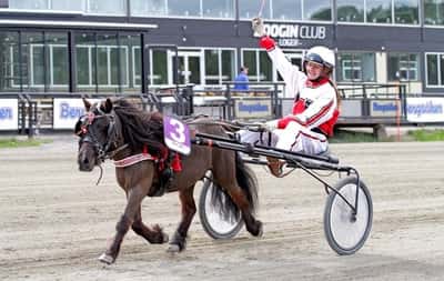 Inlägg 70 av Ponnytrav med titeln Bergsåker