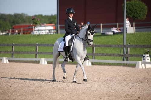 Bild av Ponnyn alla borde ha 