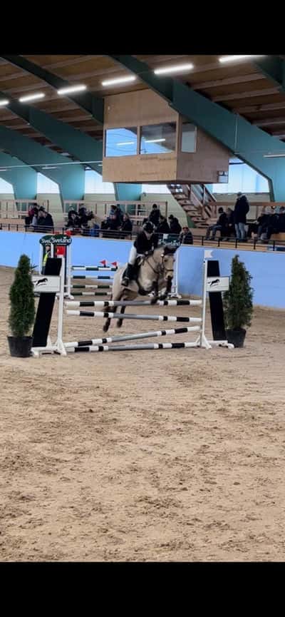 Inlägg 71 av Allround