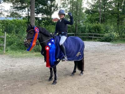 Post 187 of Show jumping with title Lila😻😻